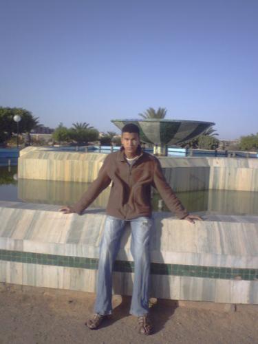 bo7di